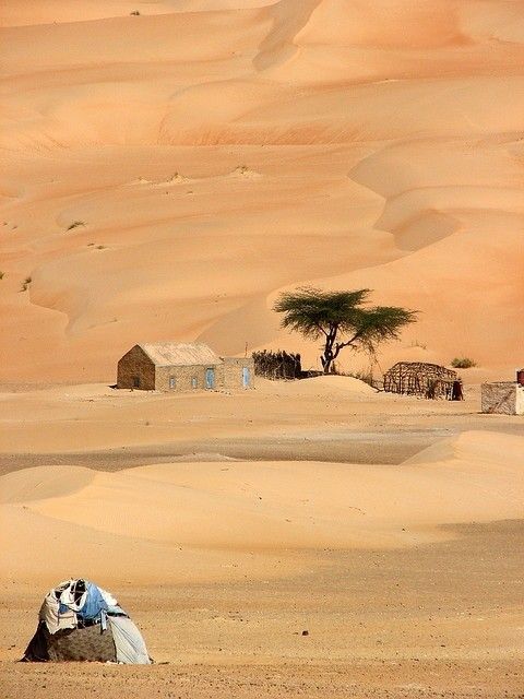 Mauritanie tradition